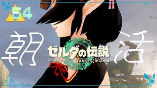 #54《朝活ハイラル》ゼルダの伝説TotK《#9onLIVE》