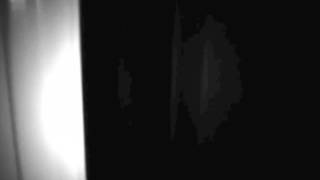 David Lynch ··· Noah's Ark