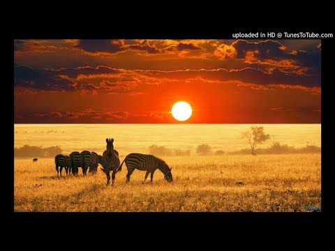 Caiiro - Huhudi
