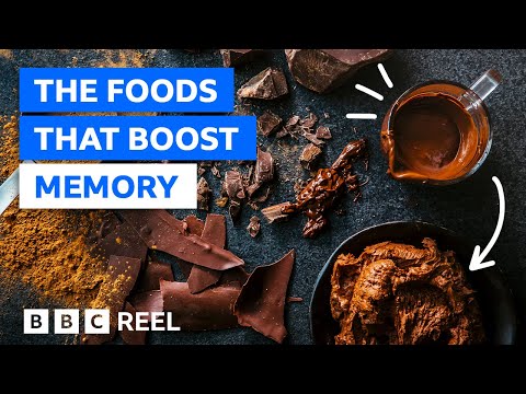 The foods that can improve brain function – BBC REEL