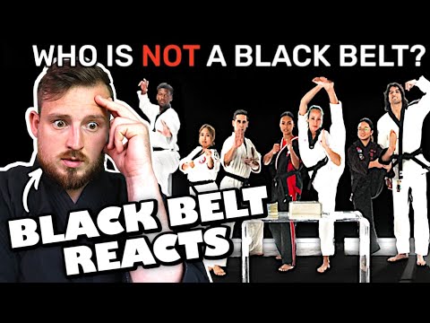 Who is the FAKE Black Belt?! Karate Teacher Reacts