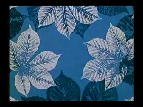 Pohádky z mechu a kapradí - Jak Křemílek a Vochomůrka jedli kaši