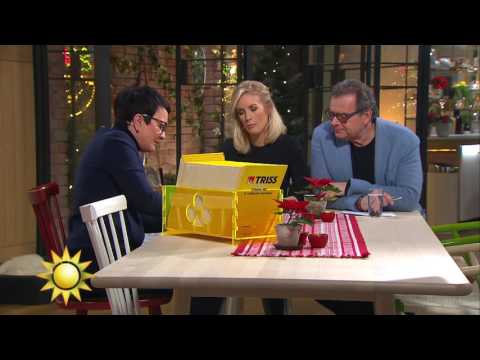 Hockeytokiga Marianne Frimodig skrapar Triss - Nyhetsmorgon (TV4)