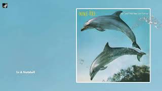 In A Nutshell by Orange juice