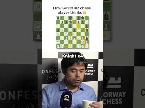 How Chess Genius Thinks