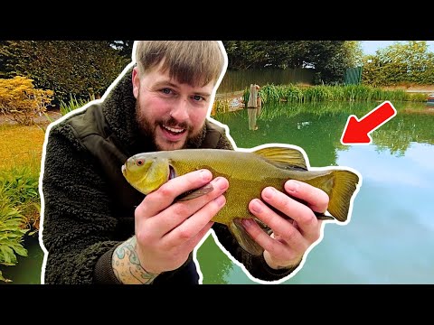 Simple Float Fishing for Tench and Carp... It's Never Been Easier 🤪
