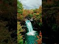 Beautiful Nature 90s Old Hindi Song Viral Youtube Trending Hindi Beautiful Nature