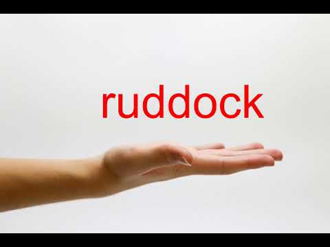 How to Pronounce ruddock - American English
