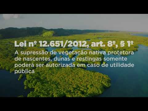 Pílulas 🗂️ Preservar é Lei | Preservação de nascentes