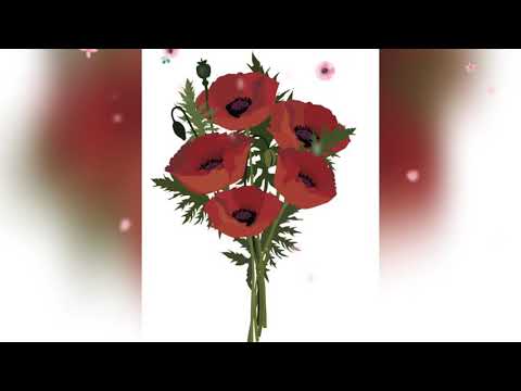 "Buon Compleanno 🎂🥂🍾 Oriana Sandrin D'Ascenzi 💐 "