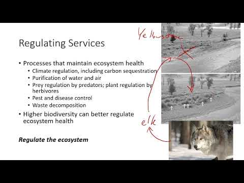 23.  Ecosystem Services