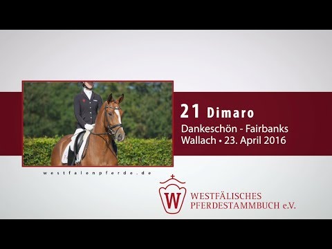 21 Dimaro  Wallach v. Dankeschön - Fairbanks