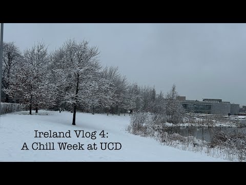 Ireland Vlog 4: A Chill Week at UCD
