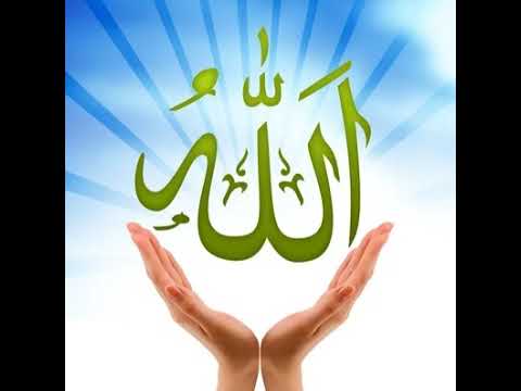 YASEER INSTITUTE - QURAN READING FOR ADULTS