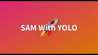 YOLO11 and SAM. Training a dataset with predefined models of ultralytics.
