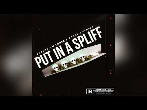 #SinSquad Sneakz x MLoose x Tugga x Blacks - Put In A Spliff (Official Audio) #NPK #ParkLane