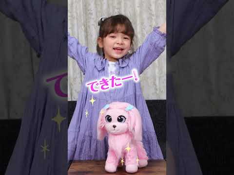 【トリミングペットサロン】　ぐちゃぐちゃになっちゃった！