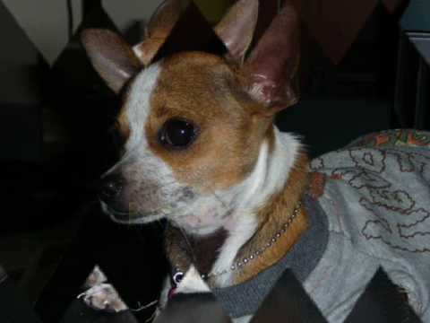 Hate That I Love You - Chimie feat. Lucky