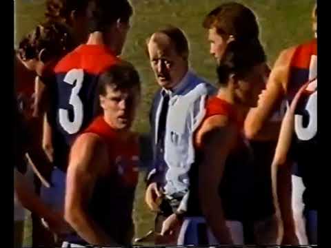 Allen Jakovich and Darren Bennett on fire - Sydney Swans VS Melbourne