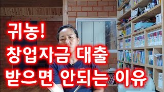 귀농! 창업자금, 주택구입자금, 영농정착지원금 받으면 안되는 이유
