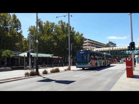 Transperth TP1622, TP3034 & TP3083 @ Forrest Place/Wellington Street
