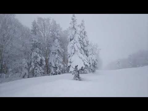 竜王スキーパーク スカイランドBコース パウダーを堪能しながら滑走 2019.1.21