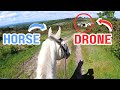 HORSE vs DRONE - POV Groom, Tack Up, Ride with Me!