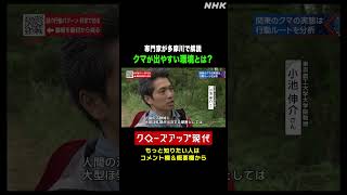 【専門家が解説】多摩川でクマが出やすい環境とは【クロ現】| NHK | #shorts