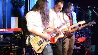 The Penguin Party - The Ballad of Zorro The Cat