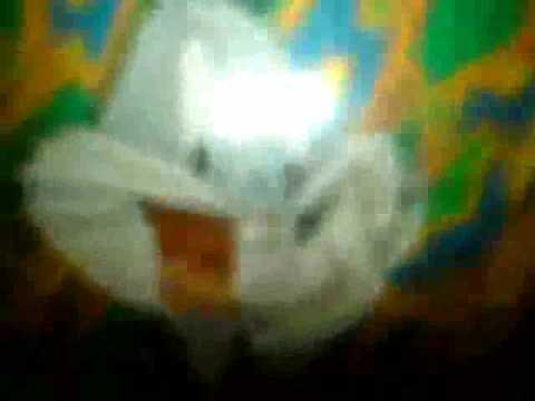 Doody vs Enya vs Prodigy 2009