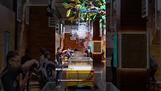 Mau Kunjungi Galeri Rasulullah SAW Masjid Raya Al Jabbar? Ini Jadwal Operasionalnya, Tak Setiap Hari