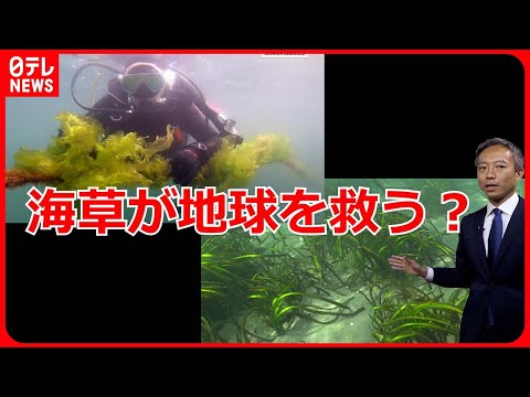 海洋は気候を加熱する