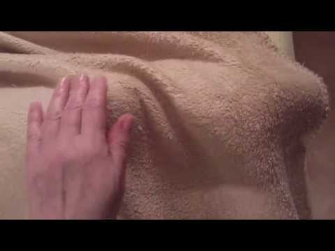 FUNNY CATS LINA AND LUANA - LUANA