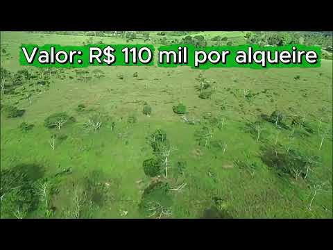 Sitio a venda em JAru ROndonia