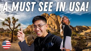 Exploring Joshua Tree National Park! (A must see in California)🇺🇸
