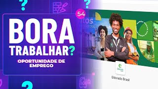 Bora Trabalhar? - Oportunidade de Emprego
