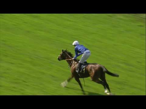 2017 St James's Palace Stakes - Barney Roy - Racing TV