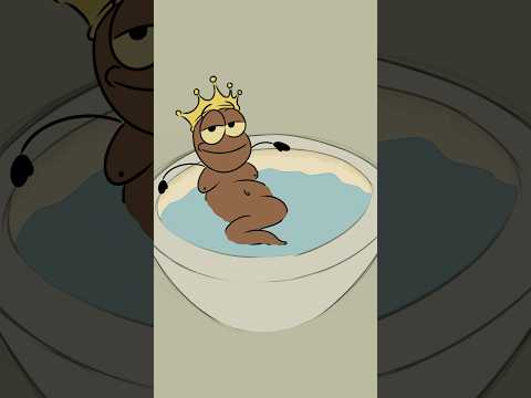 When at friend’s place and you get one of these 🤣🤣 (4k memes)