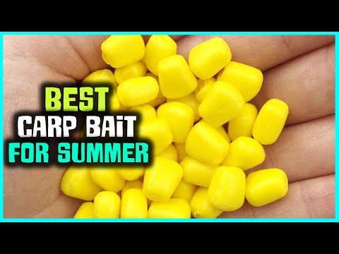Best Carp Bait for Summer in 2023 - Top 5 Review and Buying Guide