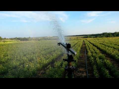 Импульсный дождеватель, радиус 18-36,5 м, подключение 1 1/2", расход 6,6 - 39 м³/час, фрегат - Sime Hidra - фото 1 - id-p1581260353