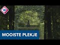 Boerhaavetuin in Voorhout verkozen tot mooiste plekje van de regio