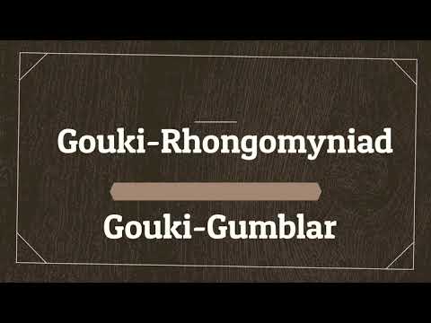 Combo Gouki-Rhongomyniad and Hand Loop Gouki-Gumblar