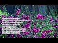 Kathy Troccoli - If I'm Not In Love (Lyrics)