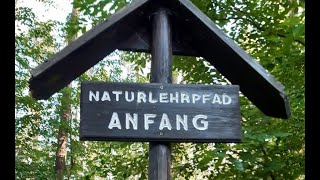 am Naturlehrpfad Schmannewitz 18 Juli 2022