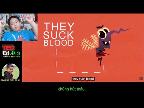 The Loathsome, Lethal Mosquito _ TED-ED.4KIDS _ READING WITH TONY