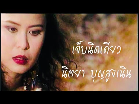 เจ็บนิดเดียว | นิตยา บุญสูงเนิน [Original MV Official]