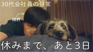 【vlog】マイペースに生活する30代社会人の日常【暮らし】