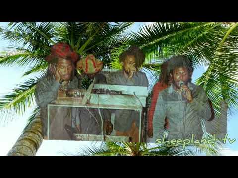 Stereophonic - Legendary Live Reggae Function at skateland x 1980