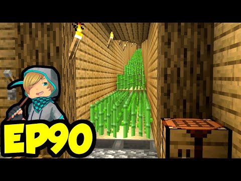 Let's Play Minecraft Episode 90