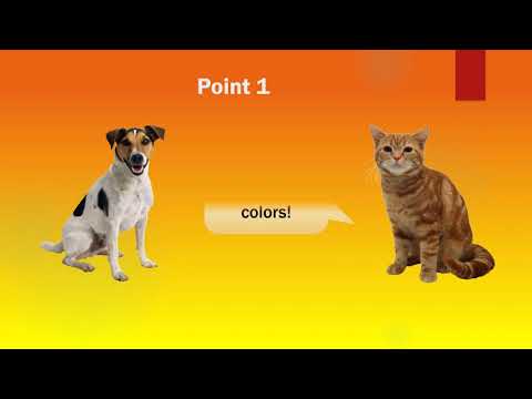 Are cats and dogs color-blind? | Myths